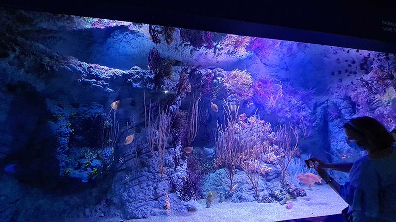 billet aquarium valencia